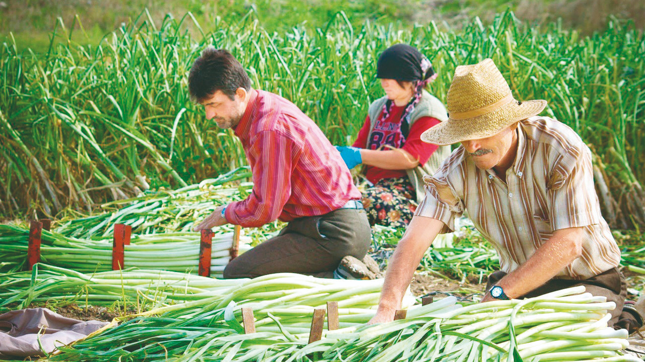 Ciftcilerdesongunyaklastı