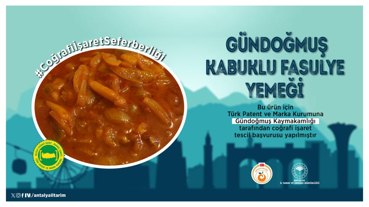 Cografiisaretliurunbasvurusu