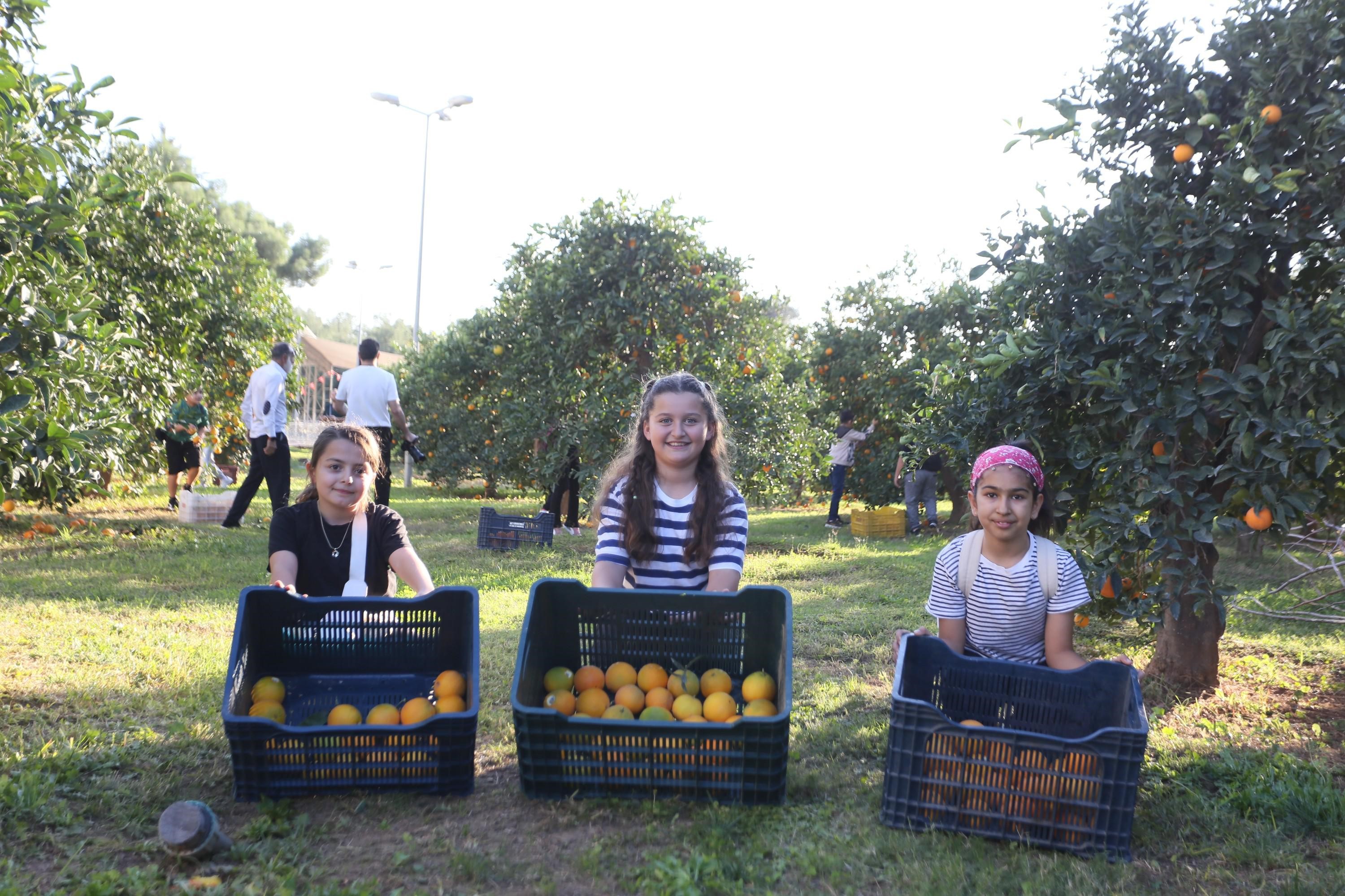 Dalindankoparildivatandaslaraikramedildi