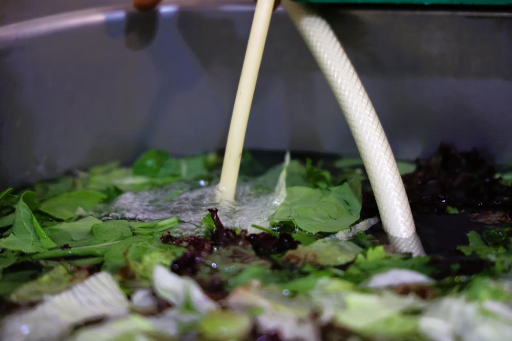 Ekdagtesislerindehijyeneozonluonlem