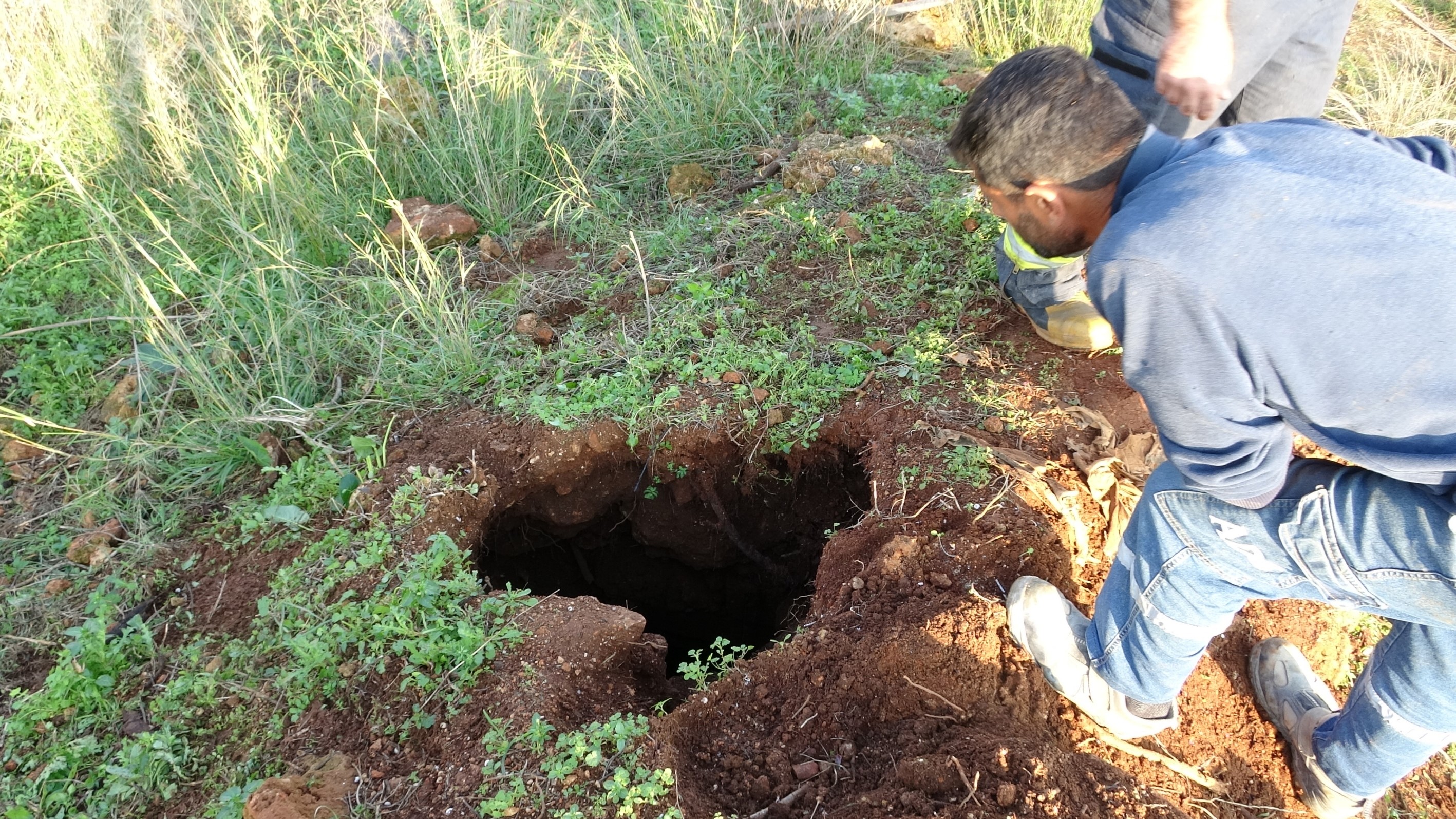 Eskisukuyusunadusmuler