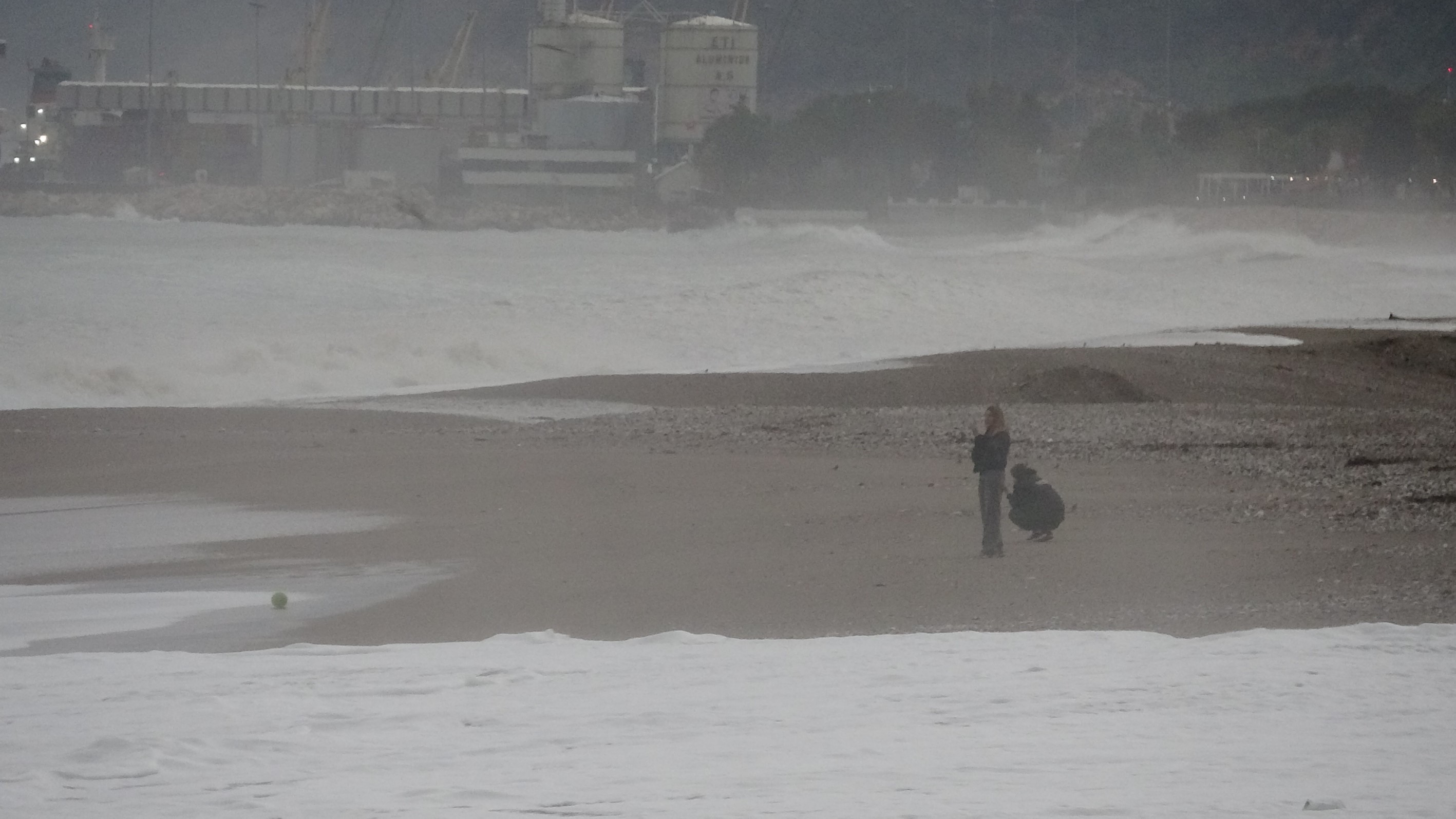 Goktegorselsolenolustu