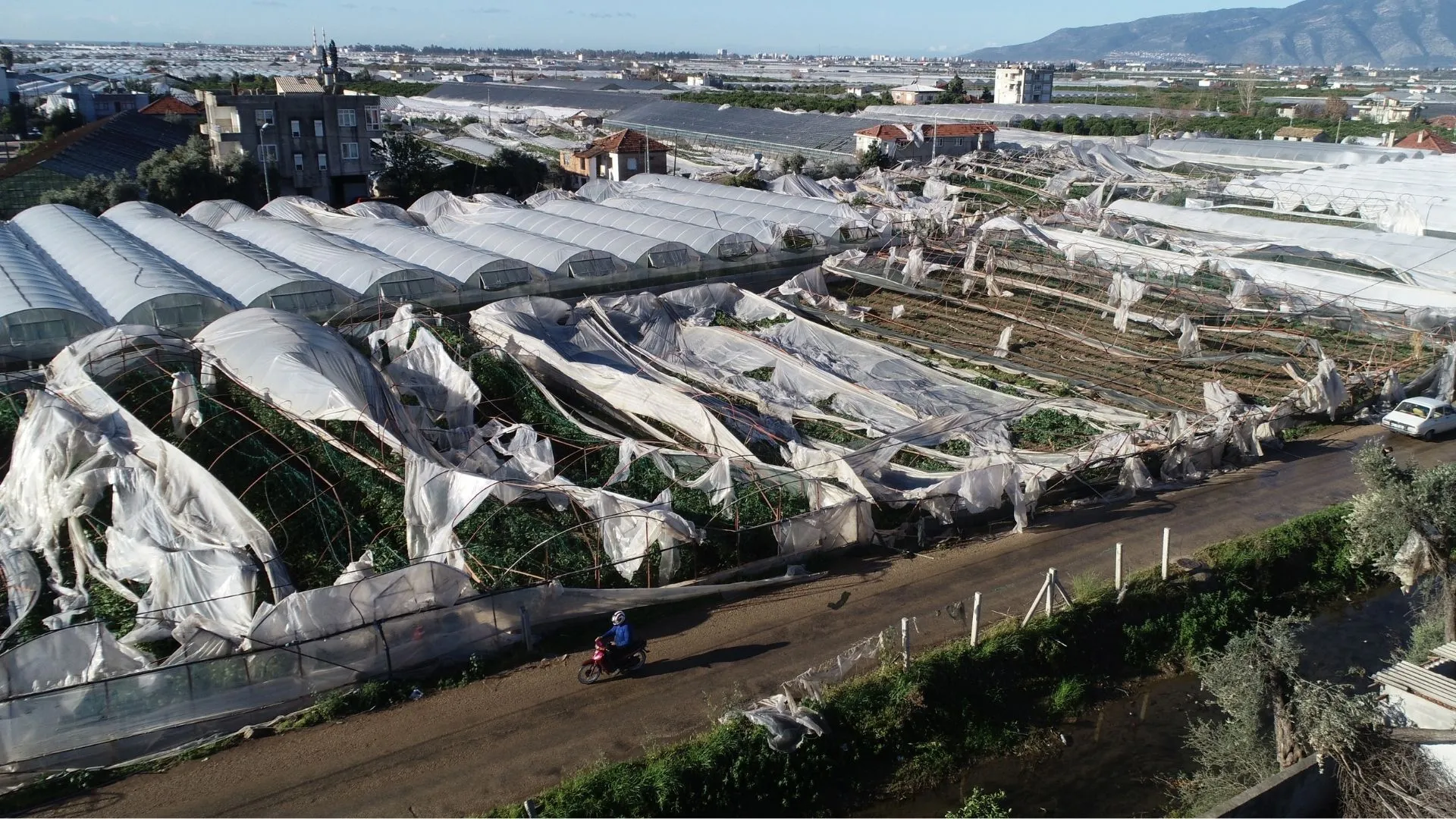 Hortummagdurlarininzararlaritespitedildi