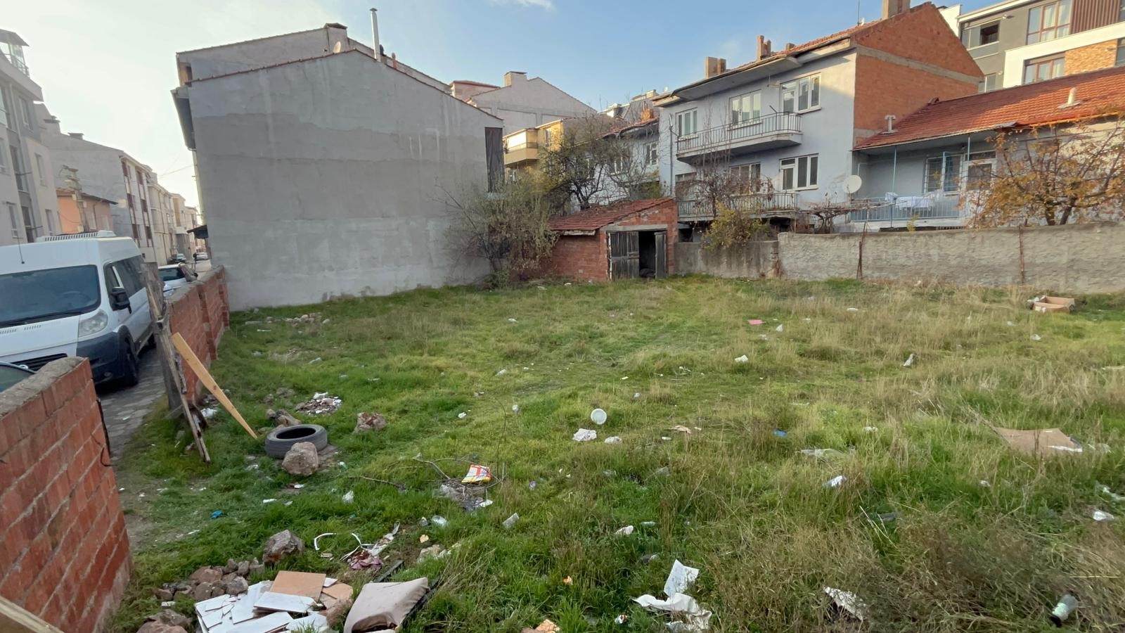 Kedilervahsicekatledildiayrintilarkandondurdu