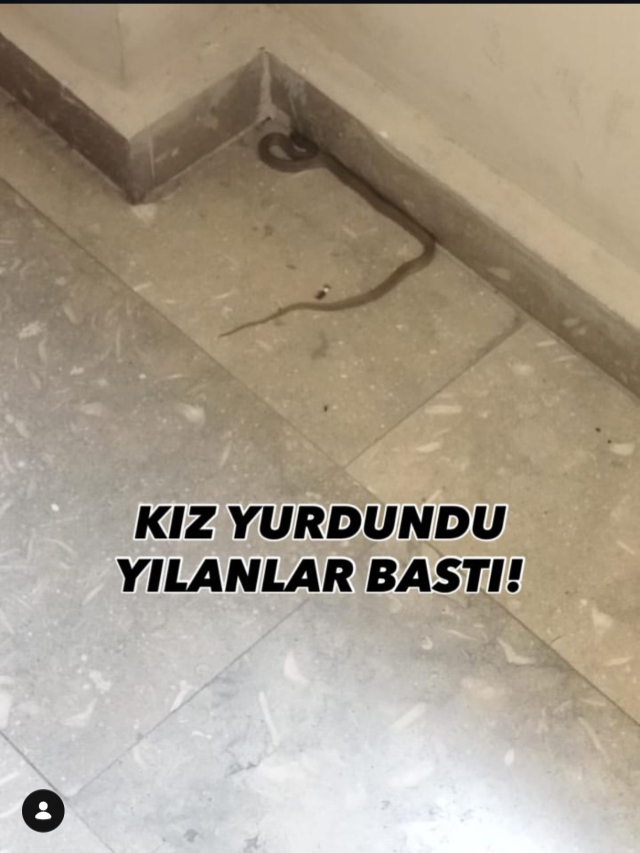 Kizyurdunuyilanbasti
