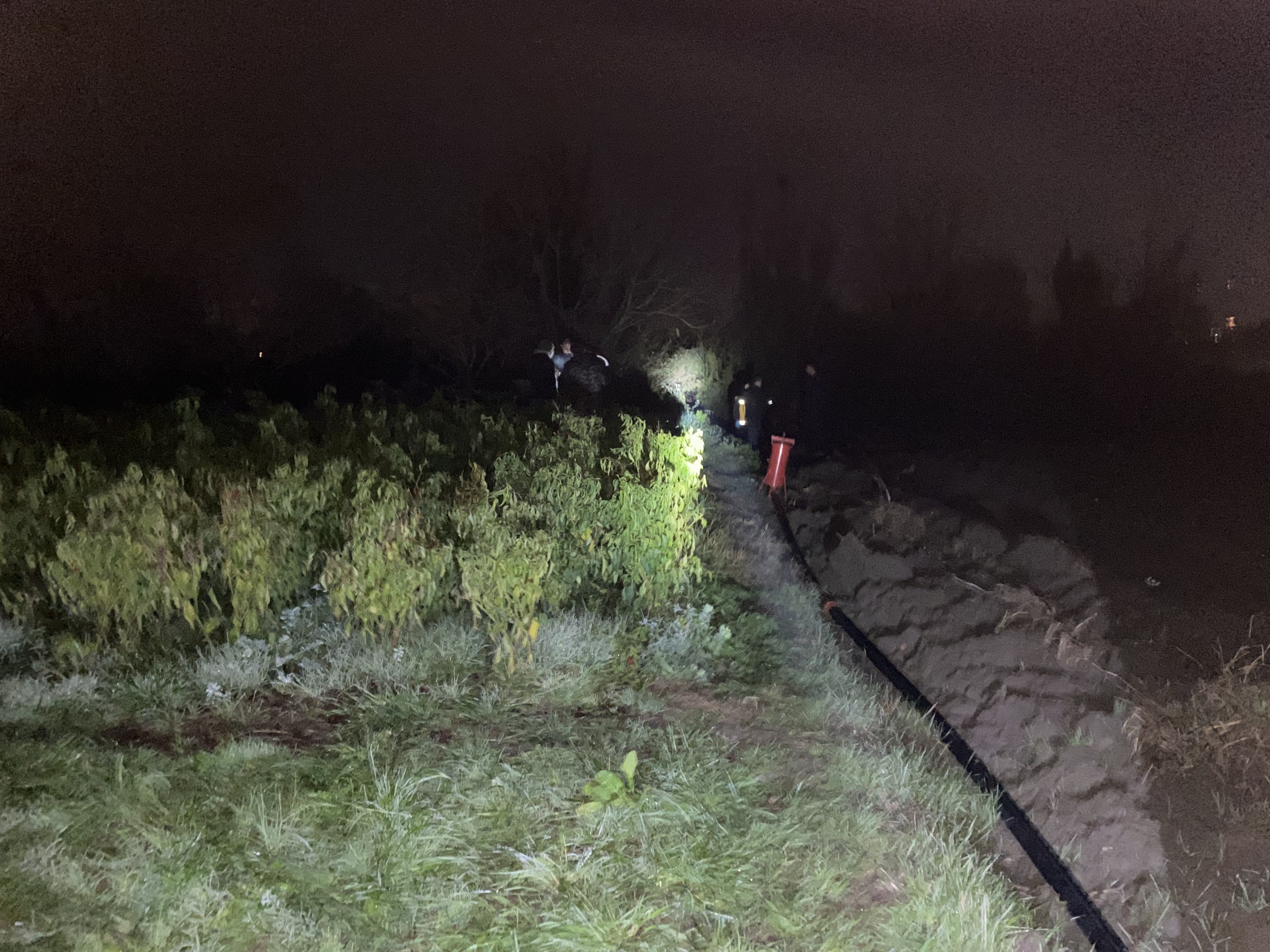 Kocaelidecansizbedenivarildebulunmustusirperdesiaralaniyor