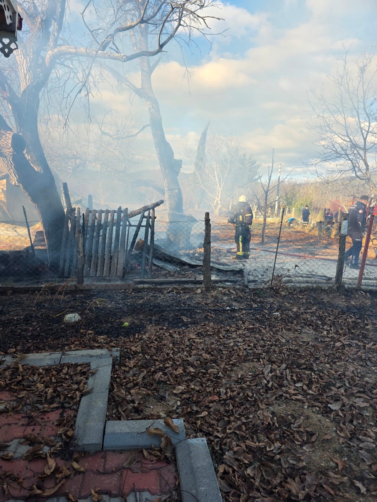 Korkutelindeyanginpanigi