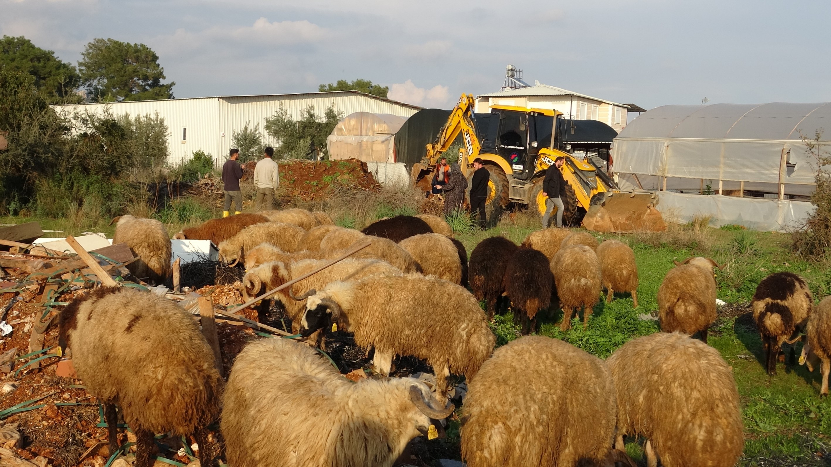 Kucukcocukkuyudabuldu