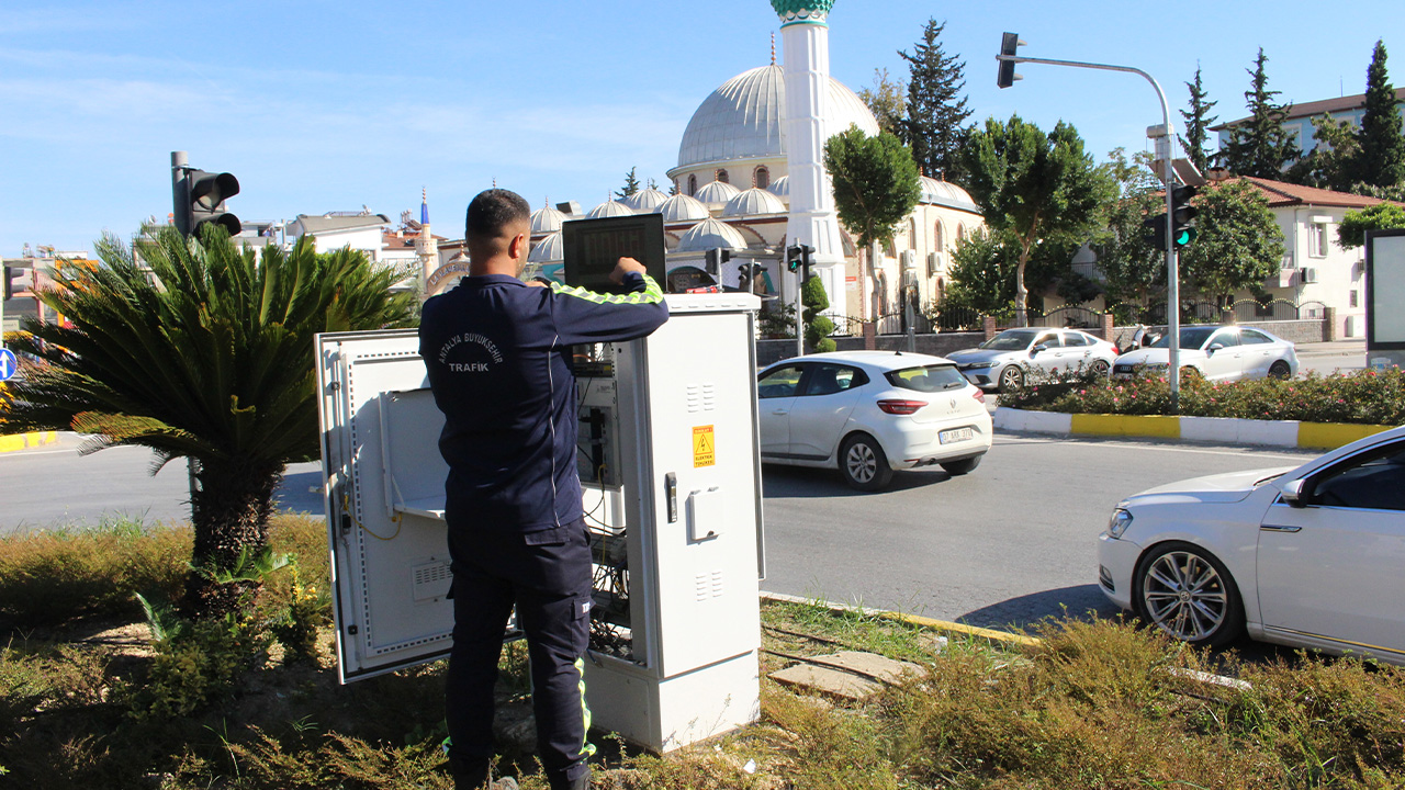 Manavgattasuruculereyesildalgauyarisi