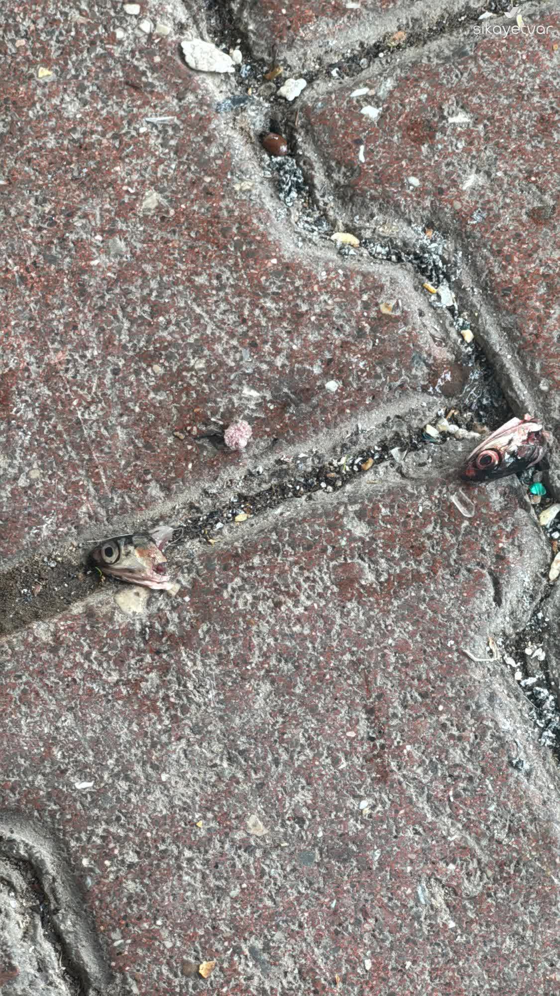 Markettedenetimkurallarınaaykırılırık