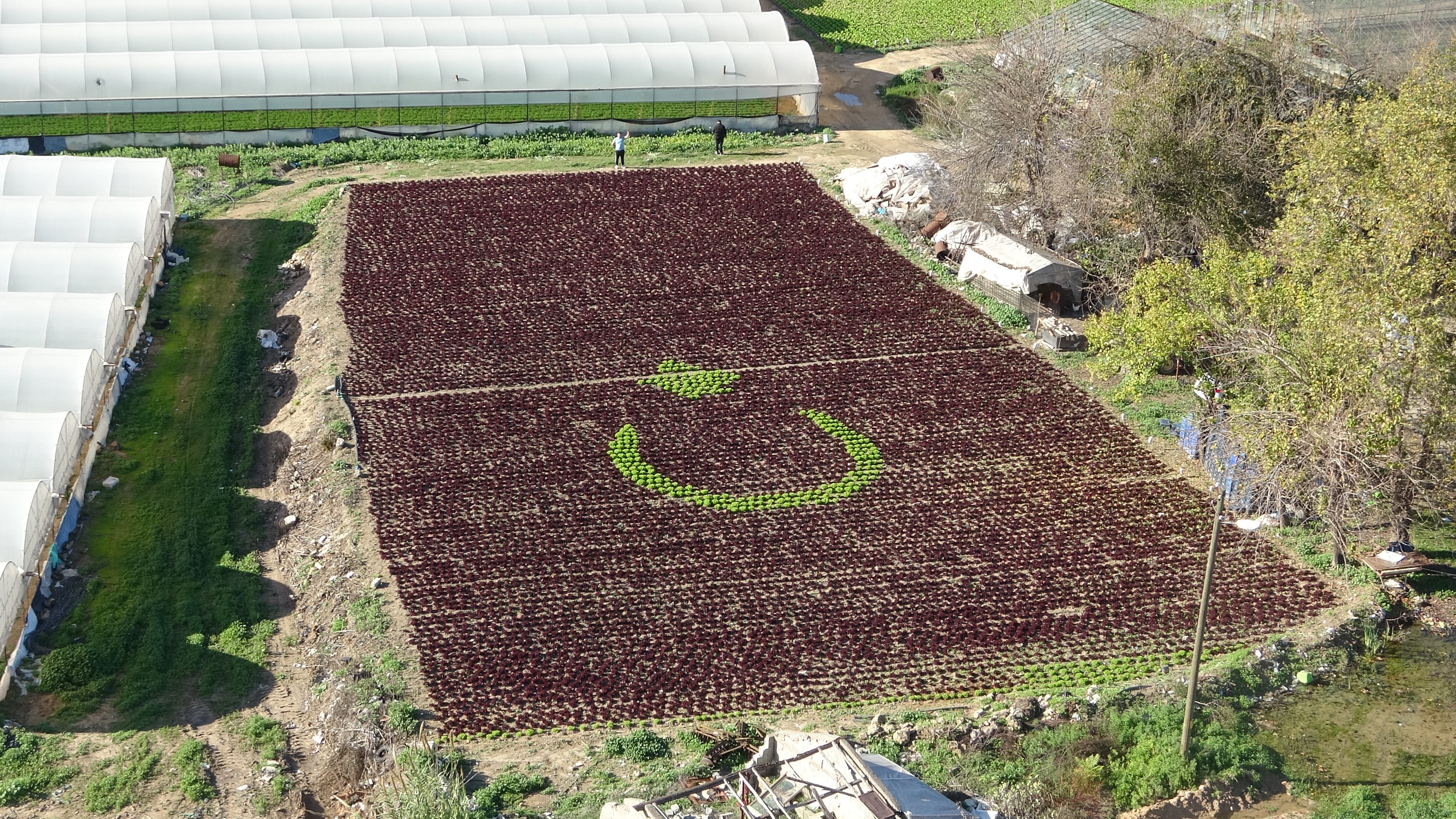 Marullarlaturkbayragiolusturuldu