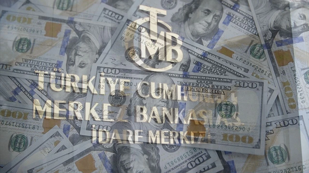 Merkezbankasitozudumanakattidolarveeurodatarihirekor