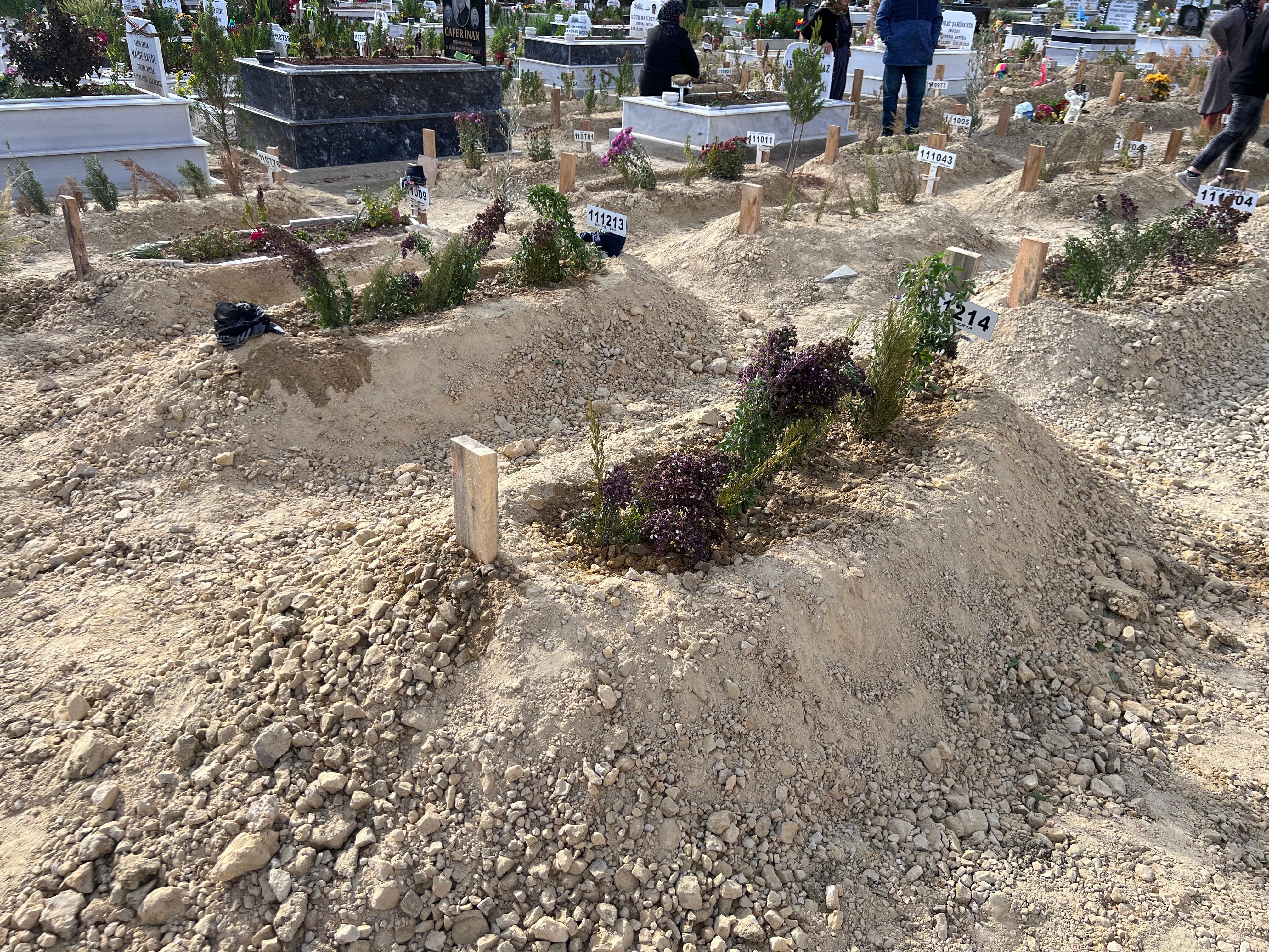 Mersindeanneogulkomsukurbanioldu