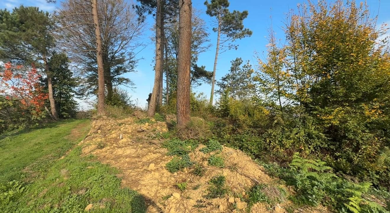 Mucizeleriylebiliniyordu400Yillikmezarlikdefineavcilariningazabinaugradi