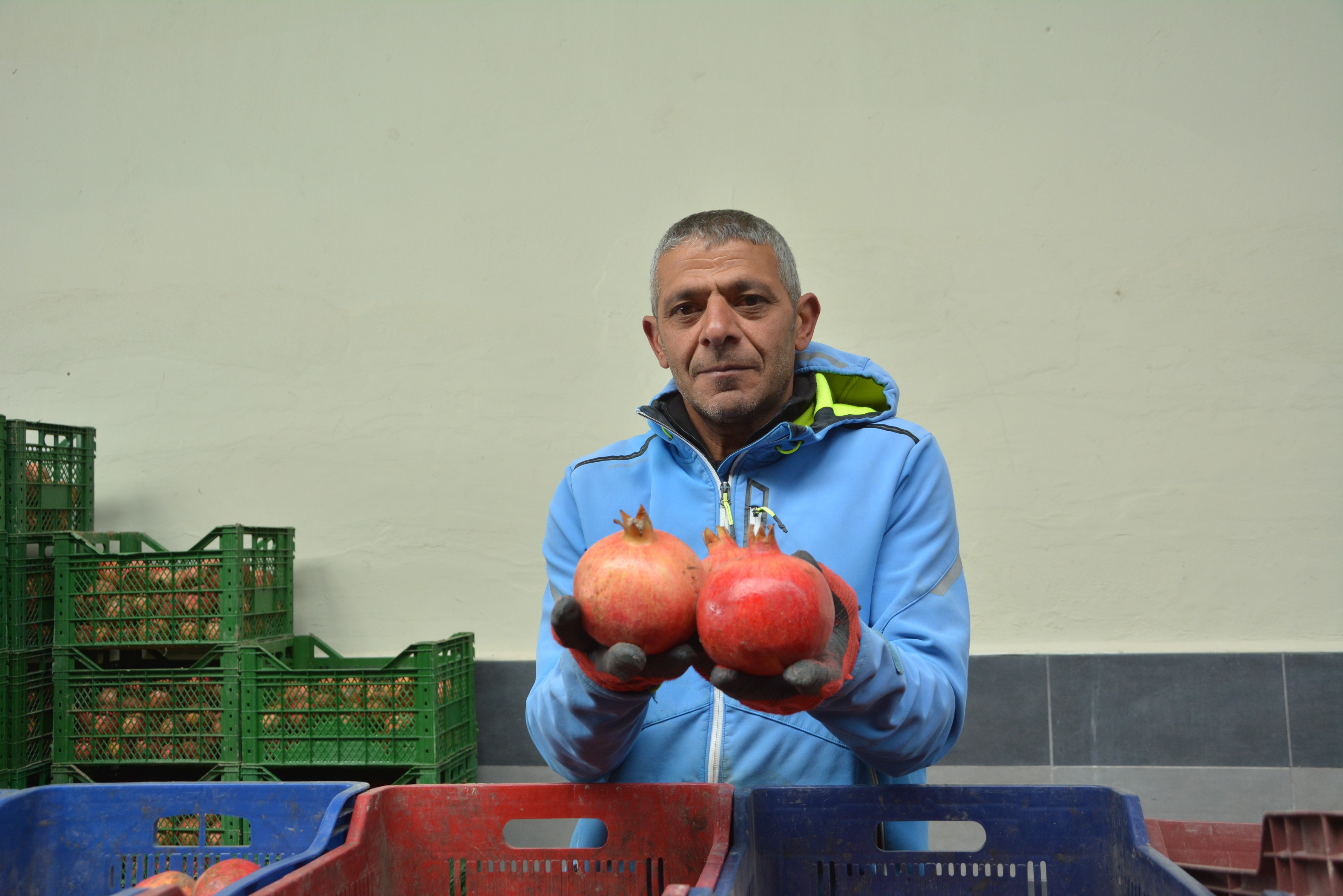 Narlaryolculugabasladi