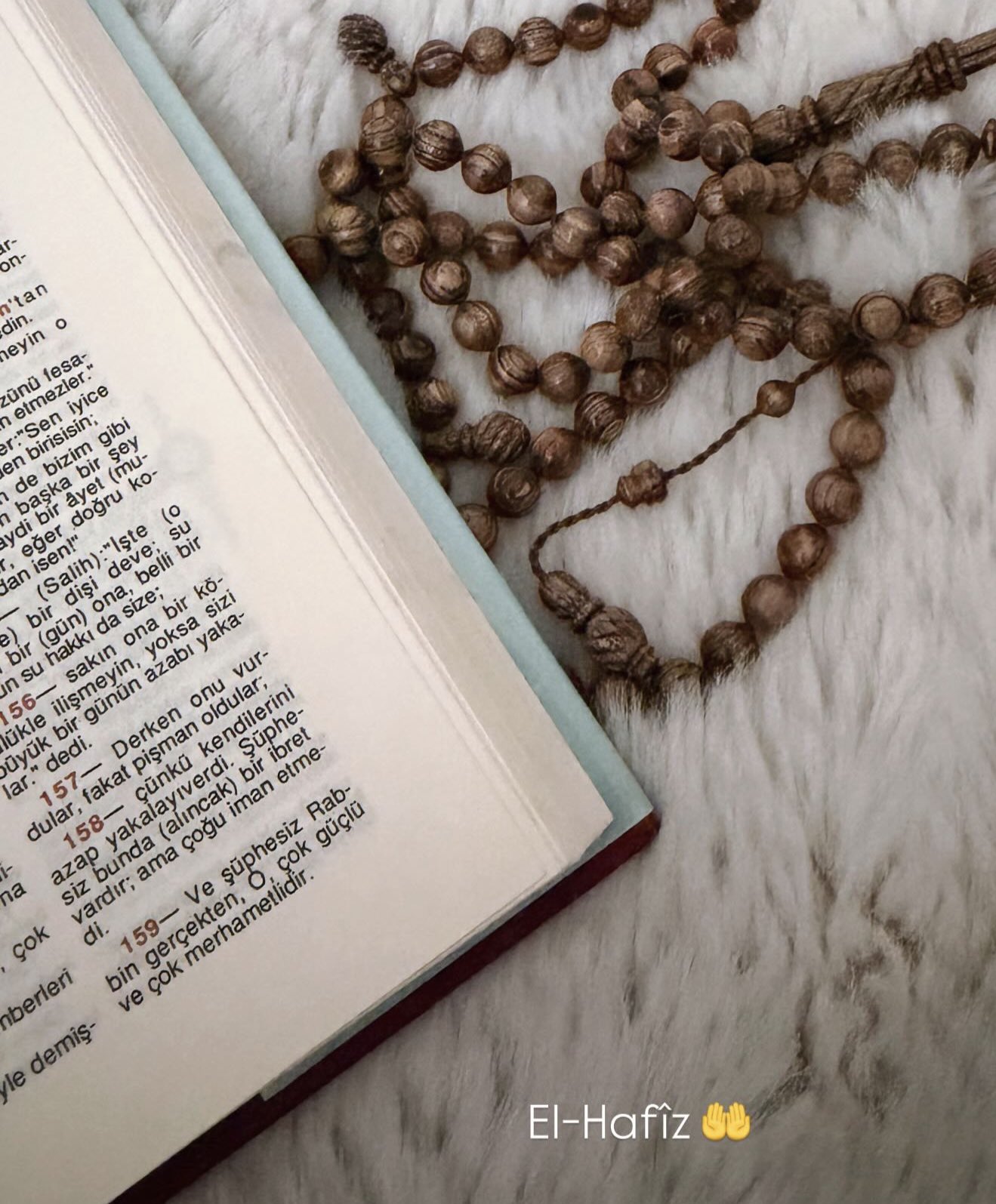 Seymasubasininpaylasimi