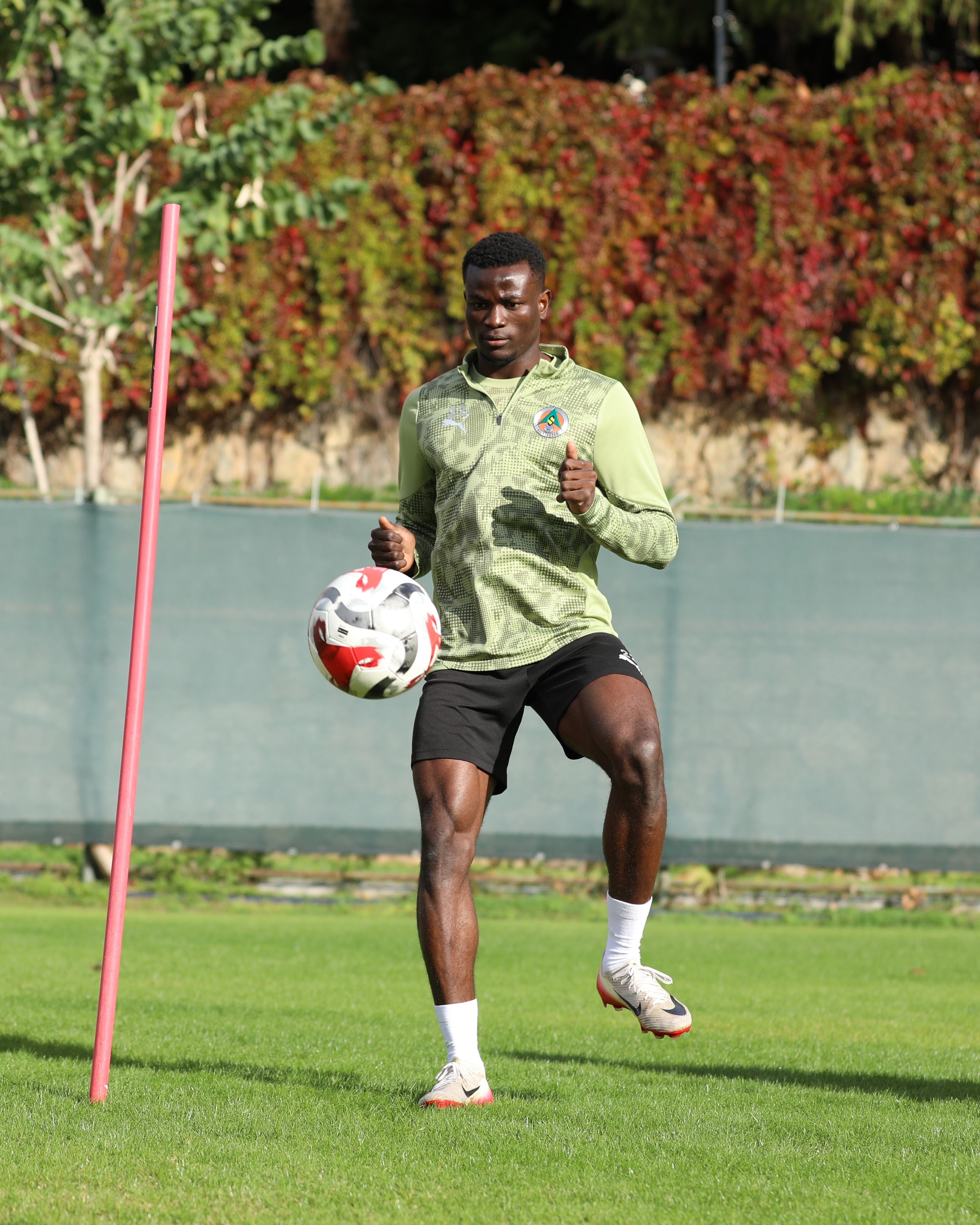 Takimcalismalaritamamlandi