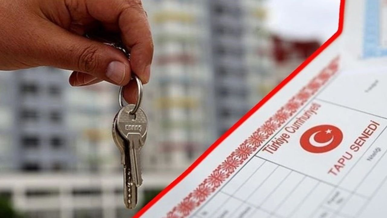 Tapuislemlerindeyeniduzenleme