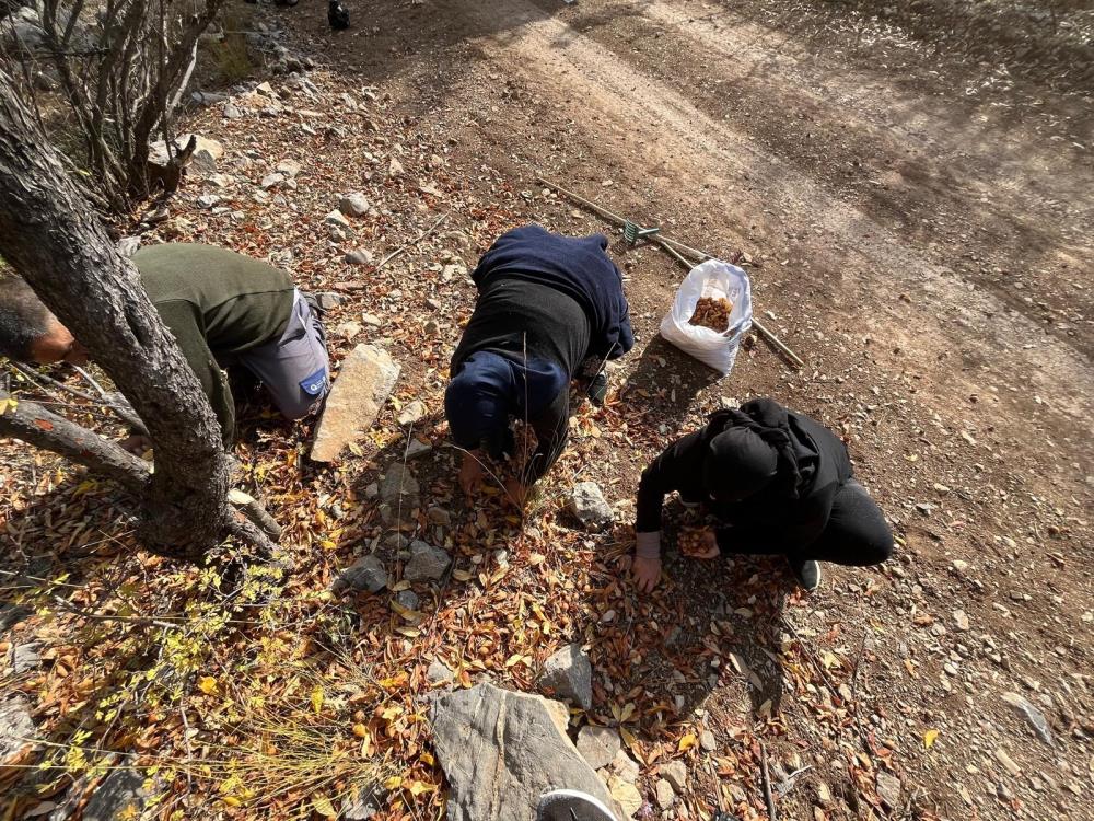 Toroslardakigizlimiras