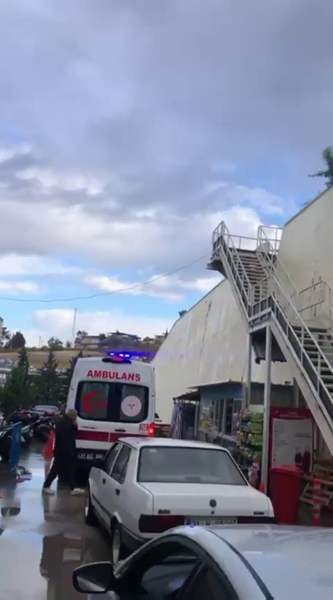 Trafigikahkahayabogdu