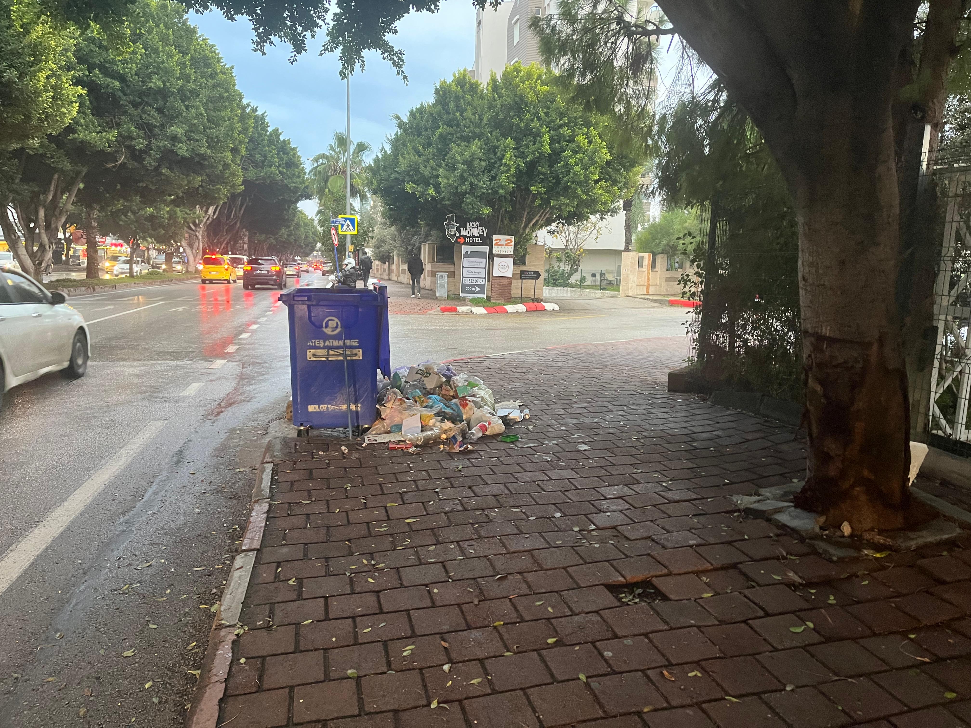 Turizmmerkezineyakismiyortepkicekengoruntu