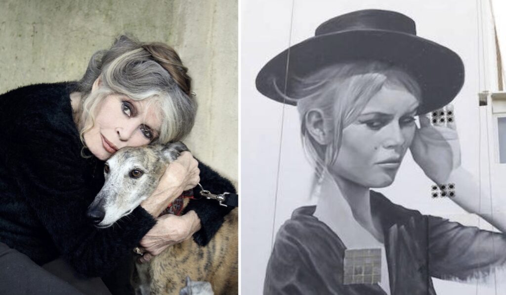 Unluoyuncudankotuhaber