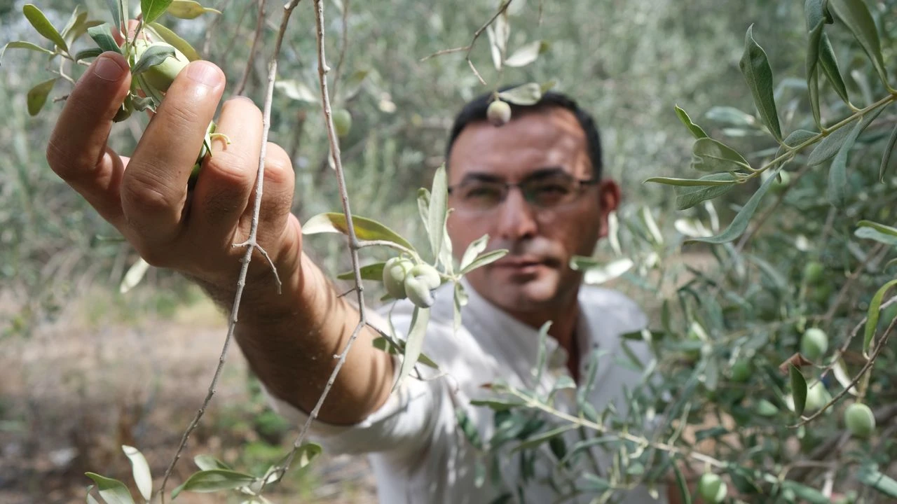 Ureticineyapacakbirtaraftesviketti