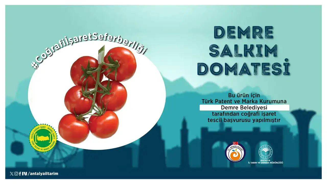 Urunlertescillenmeyedoymuyorbirbasvurudademreden