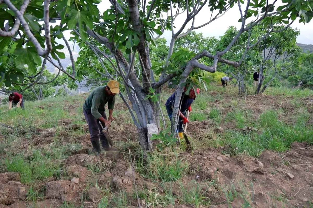 Vekilindensertsozlerciftcidengaspedilen6045Milyartlnerede