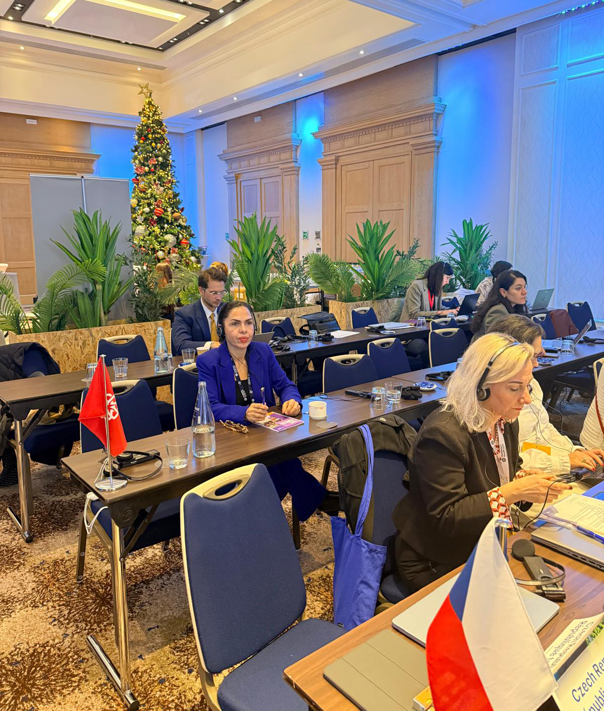 Yerelyonetimdeornekuygulama