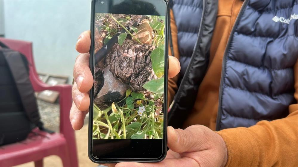 Zararaugratanlarielleriyleyakaladi