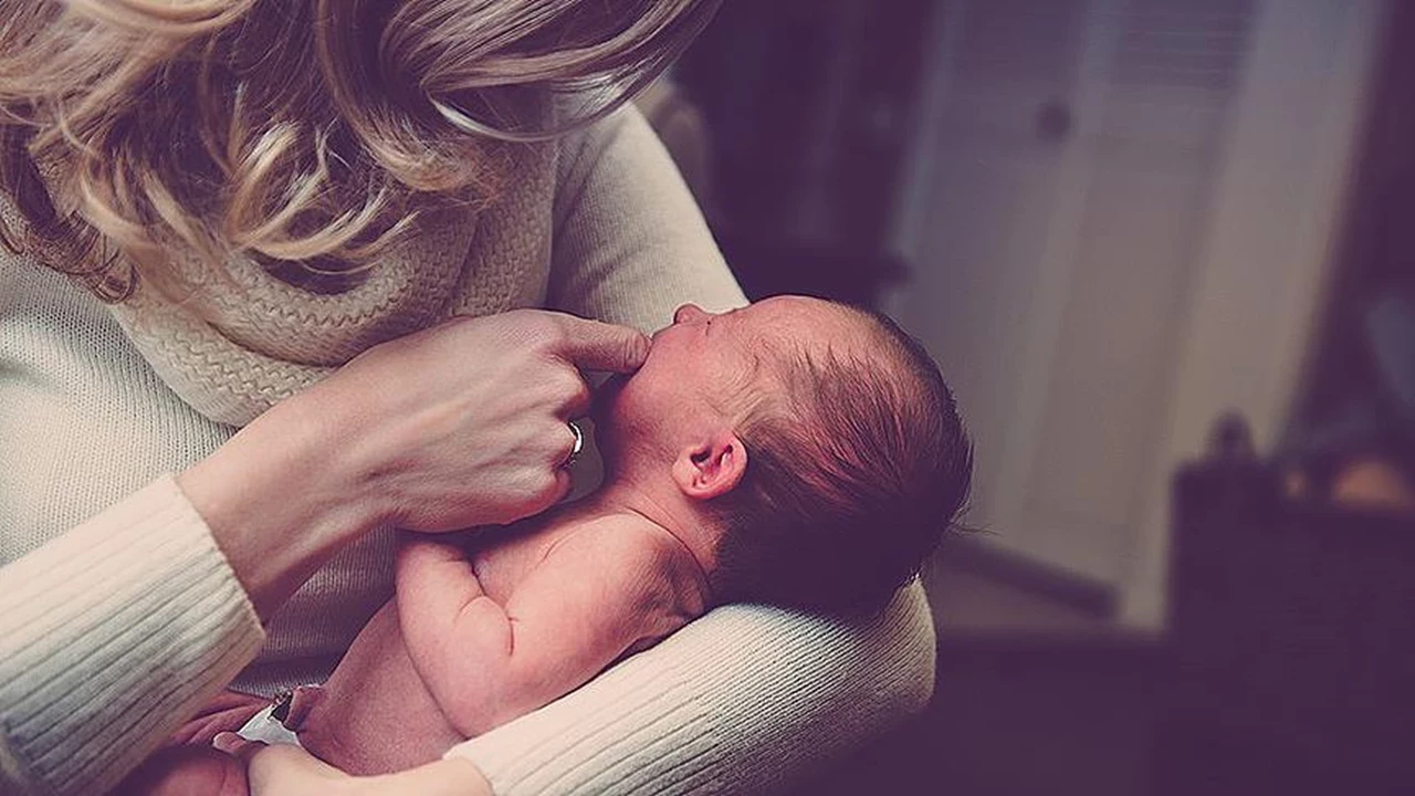 2025Yilindakacbebekdogdu