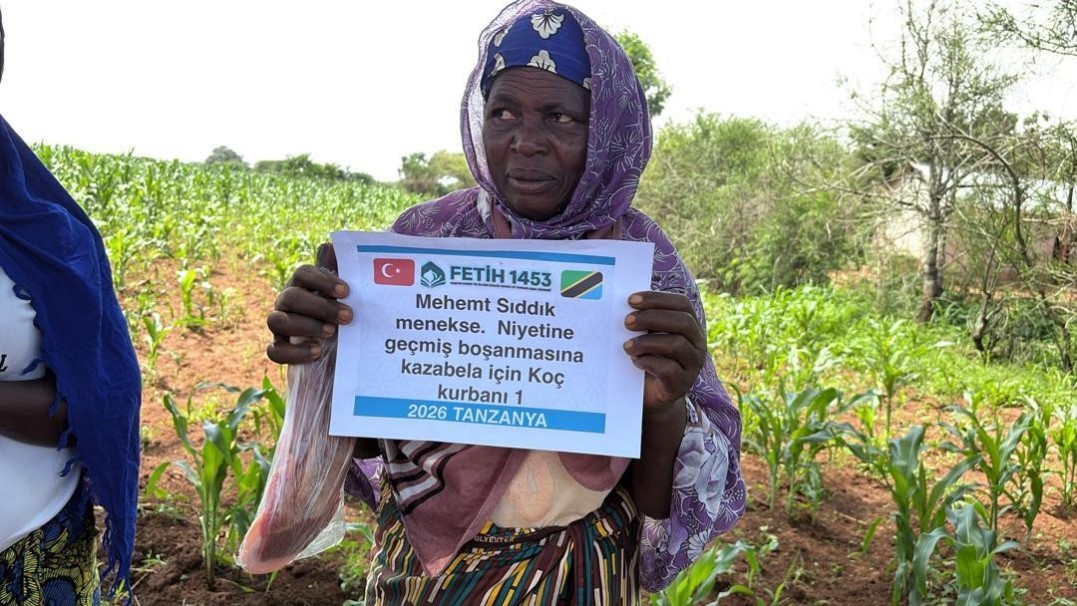 Afrikada8Tanekockestirdi