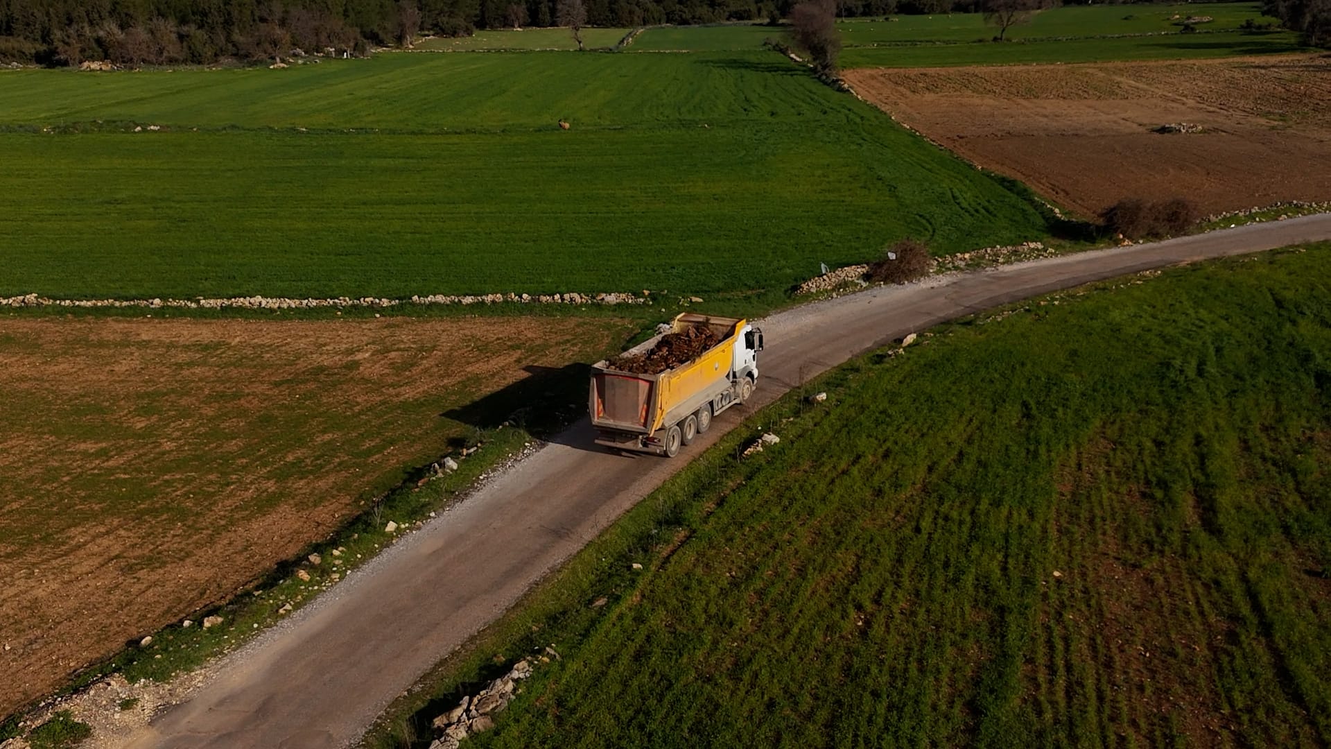 Aksudasokakhayvanlarınaozelbarınakinsaediliyor