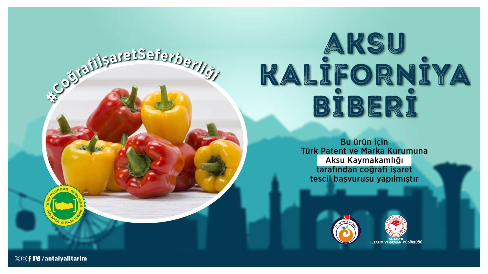 Aksununourunudecografiisareteeklendi