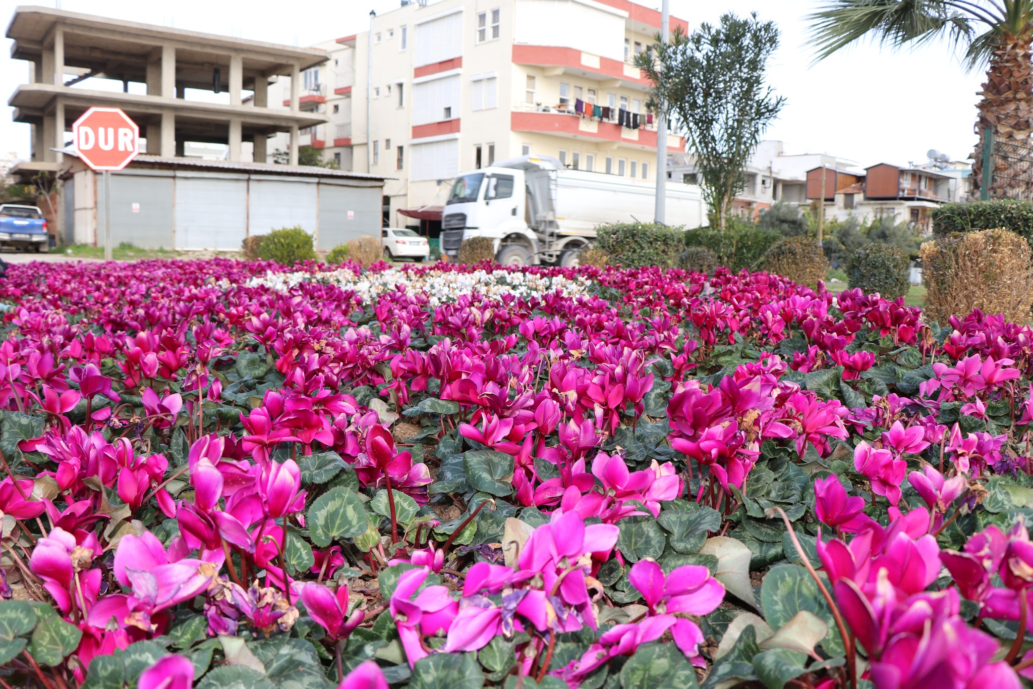 Alanyabelediyesindencevreduzenicalısması
