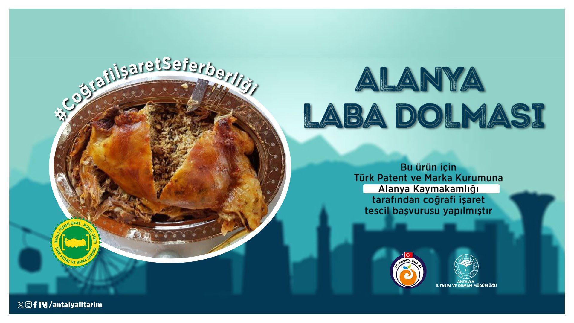 Alanyadabircografiisarhamlesidahaourunicinbasvuruyapıldı