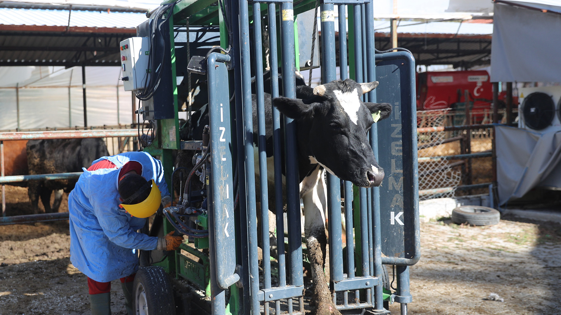 Antalyabuyuksehirdenhayvanciliga12Milyontlikdestek (2)