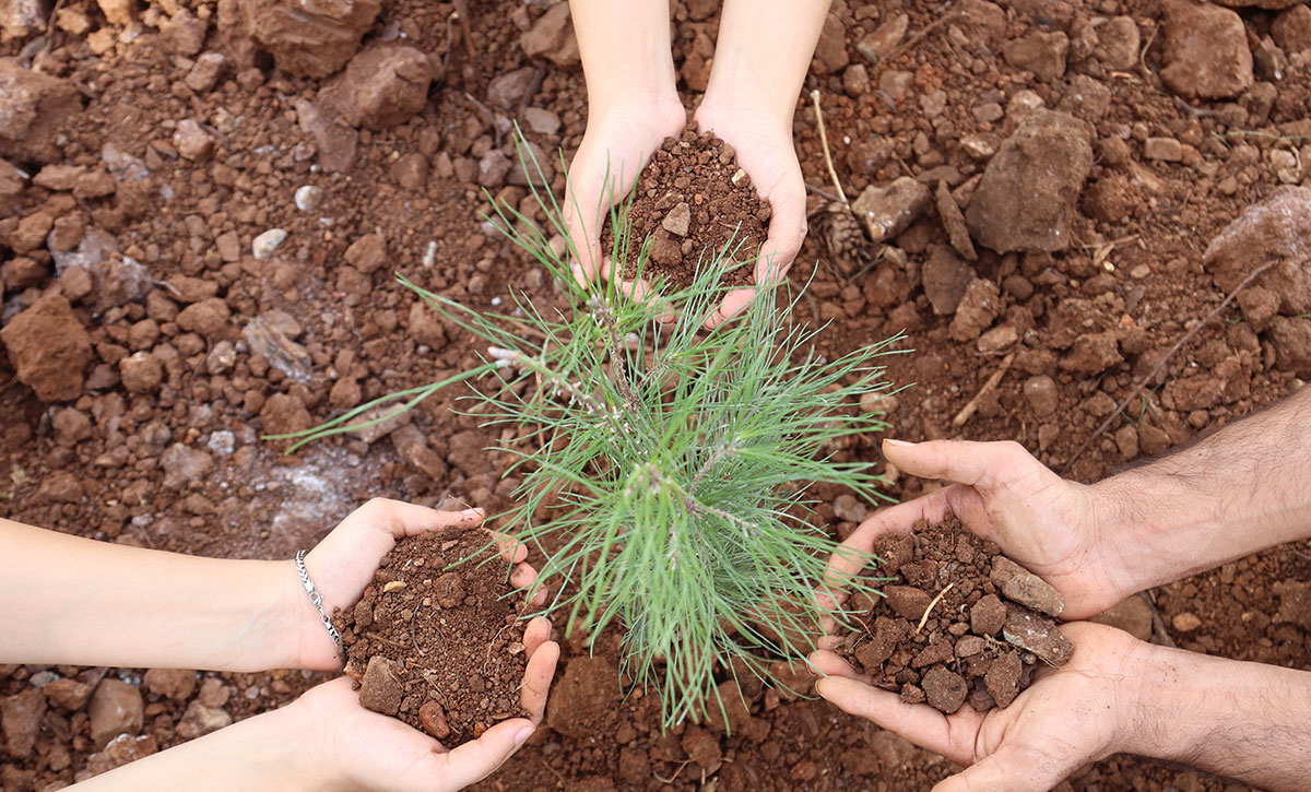 Antalyadakigenclere C O P31Ekatilimfirsati