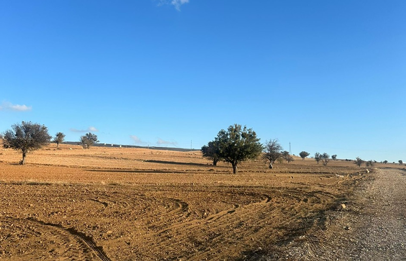 Antalyadakorkutelindemilyonlukyatirimhalkingorusleriylesekillenecek