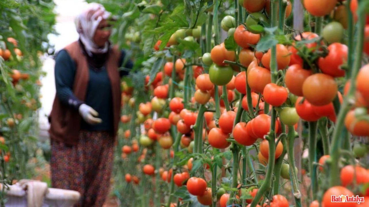 Antalyadayenihibekarariresmilesti