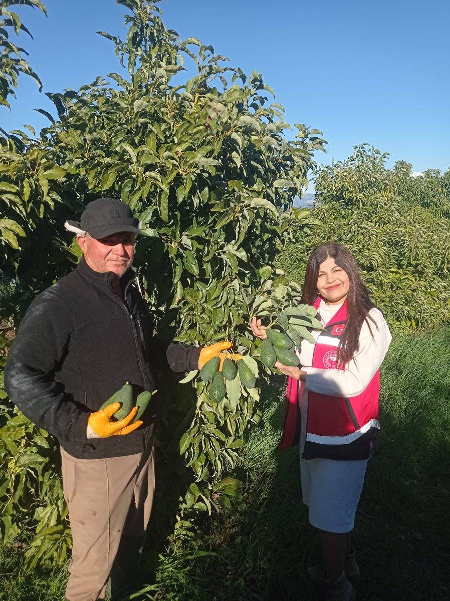 Antalyatarımdadestek
