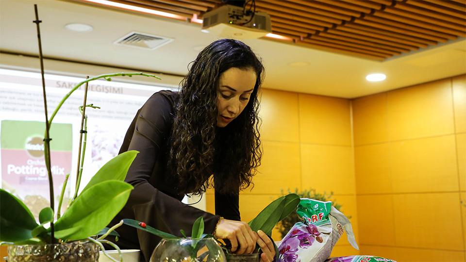 Bitkitutkunlaribirarada