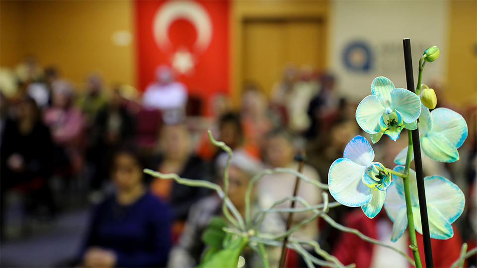 Buyuksehirdenorkidebakimiegitimi