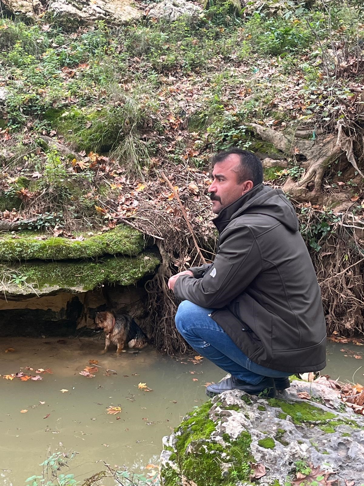 Dereyedusenkopekicinseferberoldular