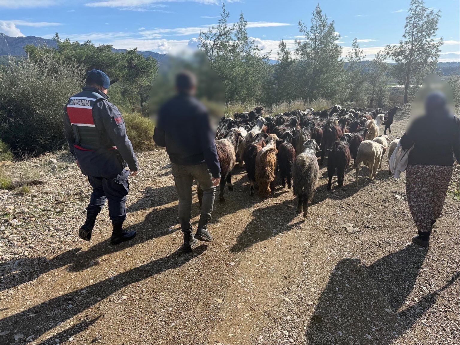 Ekiplerseferberoldu-2