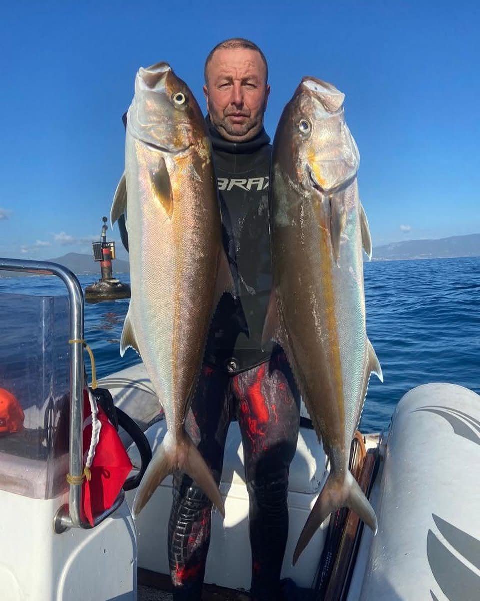 Eskimillisporcuhayatinikaybetti