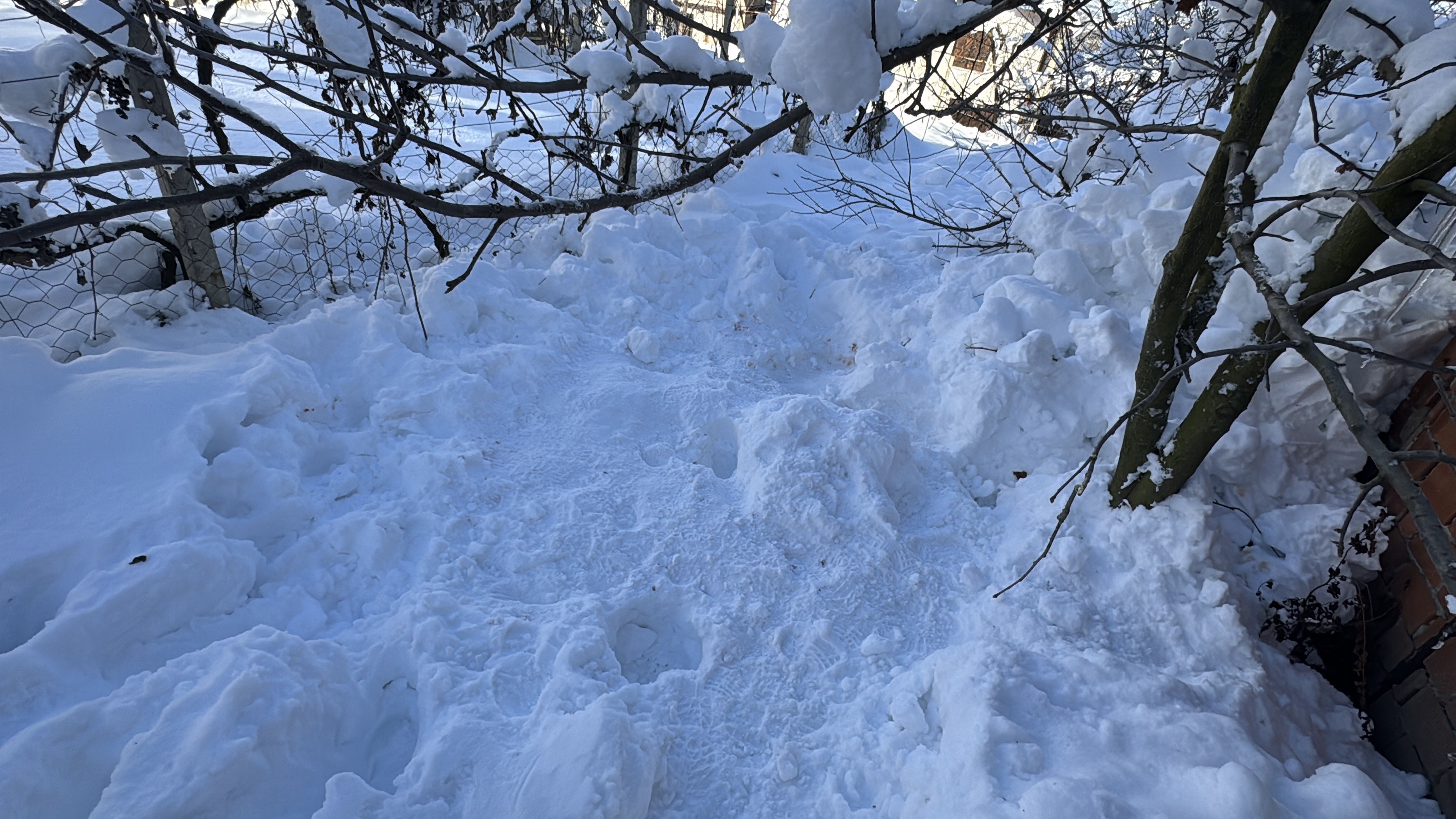 Evininarkabahcesindedonmushaldebulundu