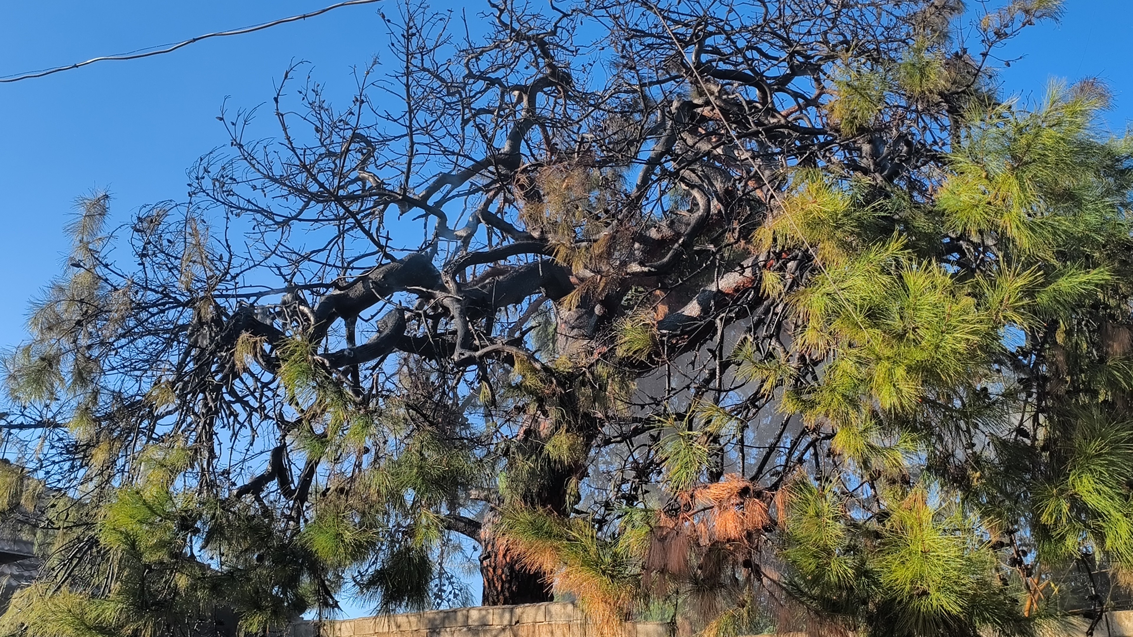 Evlereulasmasiniengellemeyecalistilar