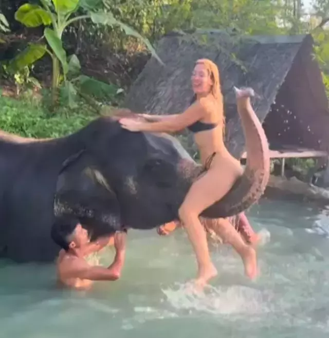 Filinhortumunaoturdu